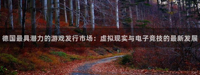 db电竞衣服怎么样：德国最具潜力的游戏发行市场：虚拟现实与电子竞技的最新发展