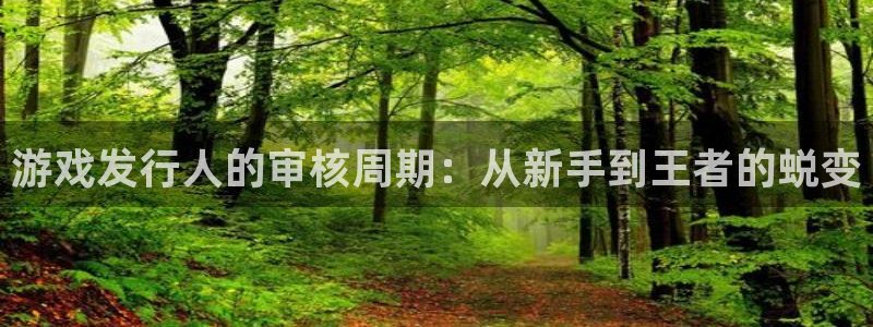 db电竞子经理人杂志：游戏发行人的审核周期：从新手到王者的蜕变