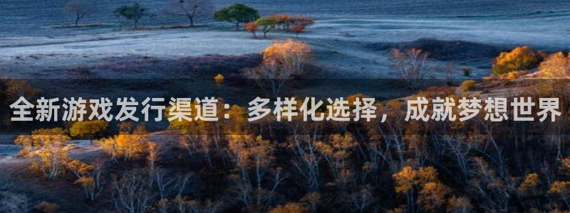 db电竞主管