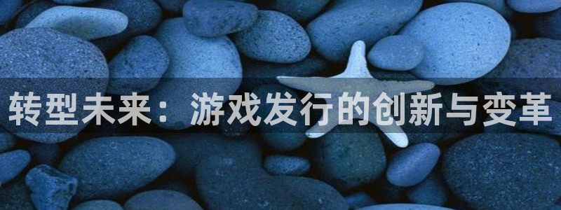 四川db电竞科技有限公司招聘：转型未来：游戏发行的创新与变革