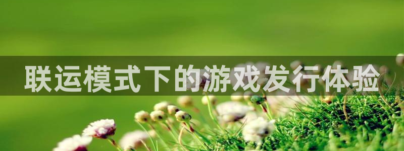 db电竞官网注册地址查询官网：联运模式下的游戏发行体验