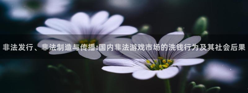 db电竞官网下载分分彩