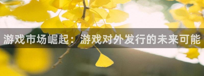 db电竞官网登录注册账号安全吗可靠吗：游戏市场崛起：游戏对外发行的未来可能