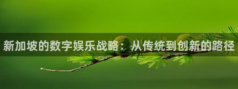 db电竞官网注册方法是什么意思：新加坡的数字娱乐战略：从传统到创新的路径