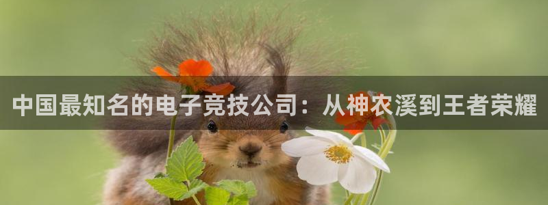 广州db电竞电子商务：中国最知名的电子竞技公司：从神农溪到王者荣耀