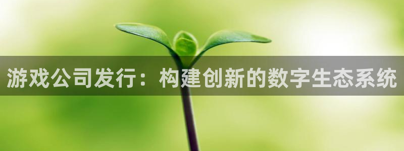 db电竞官网注册地址在哪里啊：游戏公司发行：构建创新的数字生态系统