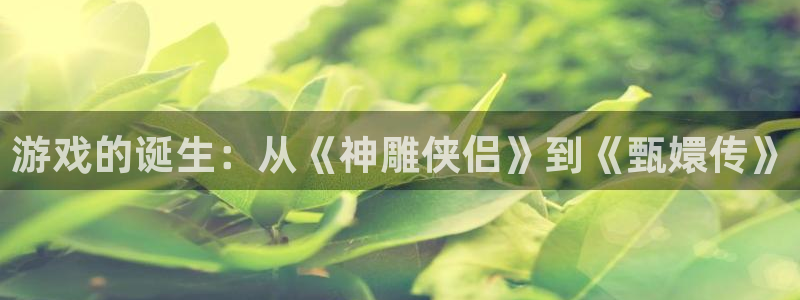 深圳db电竞电商